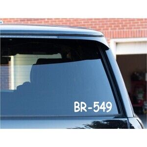 BR-549 Vinyl Decal Great Gift Car Laptop Mirror Outdoor Hee Haw Samples Sales -
